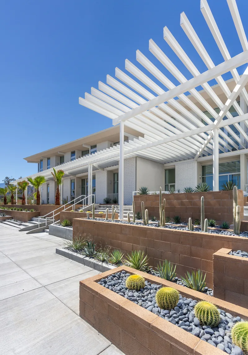 Photo 3 of 6 of Aloe Palm Canyon