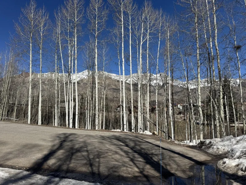 Photo 6 of 11 of Deed-restricted for sale: 304 Adams Ranch Road #8