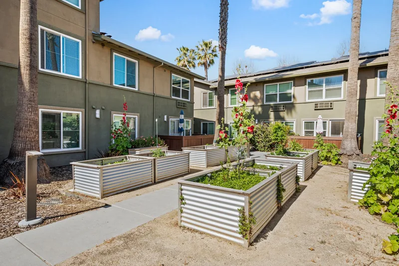 Photo 5 of 10 of Palm Court Senior Apartments