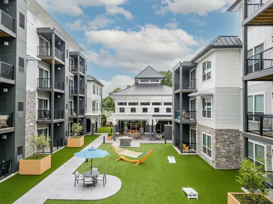 Photo of Aster at the Summit